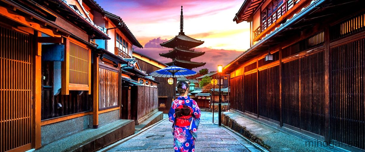 Red japonesa para cazar pájaros: la solución eficiente 2-descubre-los-secretos-de-la-red-japo-y-adentrate-en-su-fascinante-mundo-1