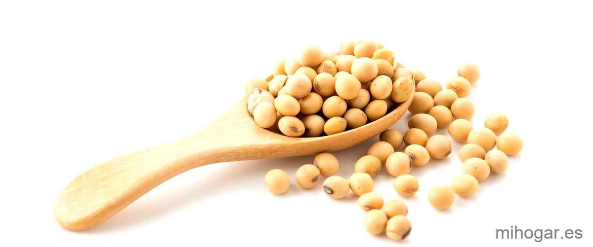 3. El garbanzo como alternativa vegetariana: opciones deliciosas y nutritivas