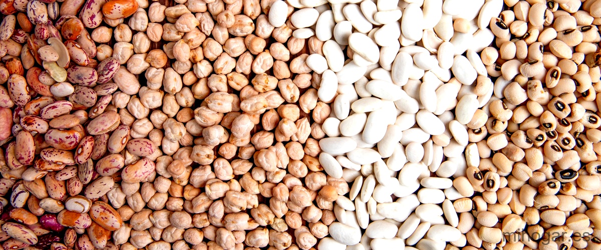 5. Garbanzos en la cocina internacional: descubre cómo se utiliza esta legumbre en diferentes culturas