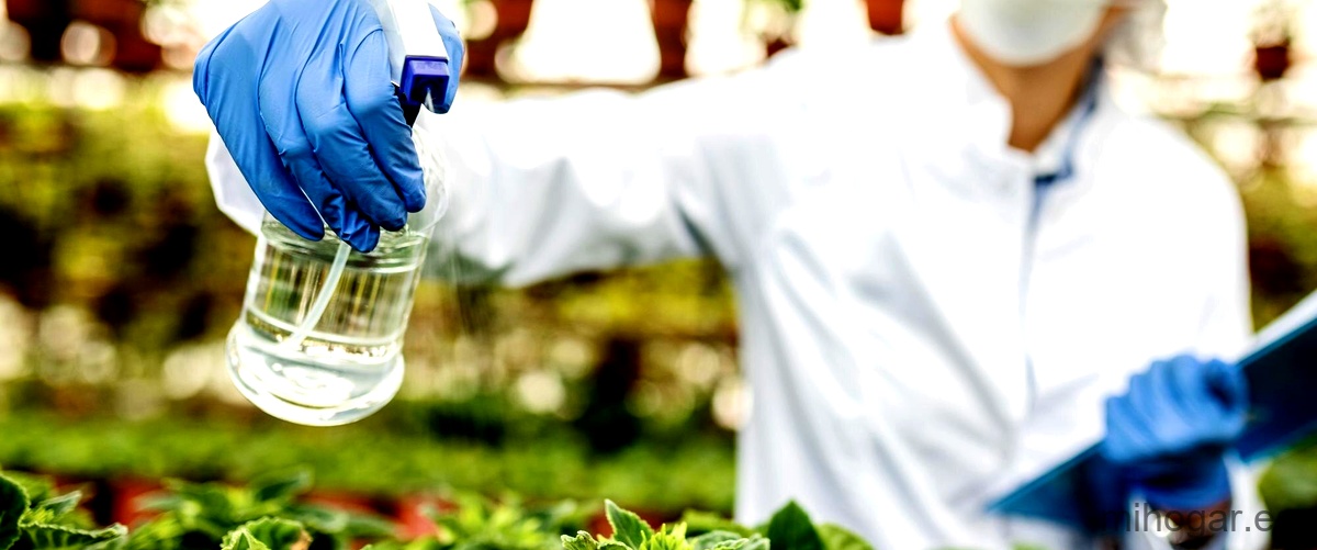 Bio Kill Insecticida: dónde comprarlo y proteger tu hogar - Mi Hogar