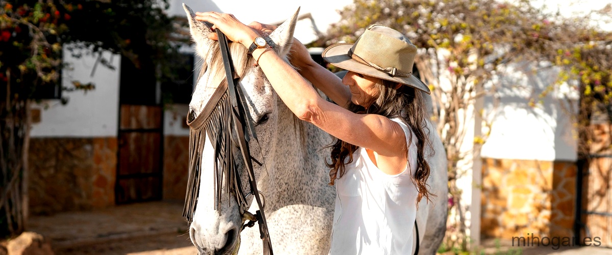 Cómo detectar y evitar el fraude de las mulas mecánicas