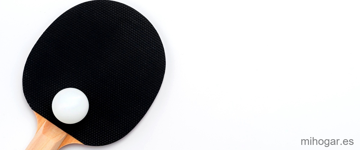 JOOLA Infinity Edge – Raqueta de ping pong de rendiiento de torneo con
