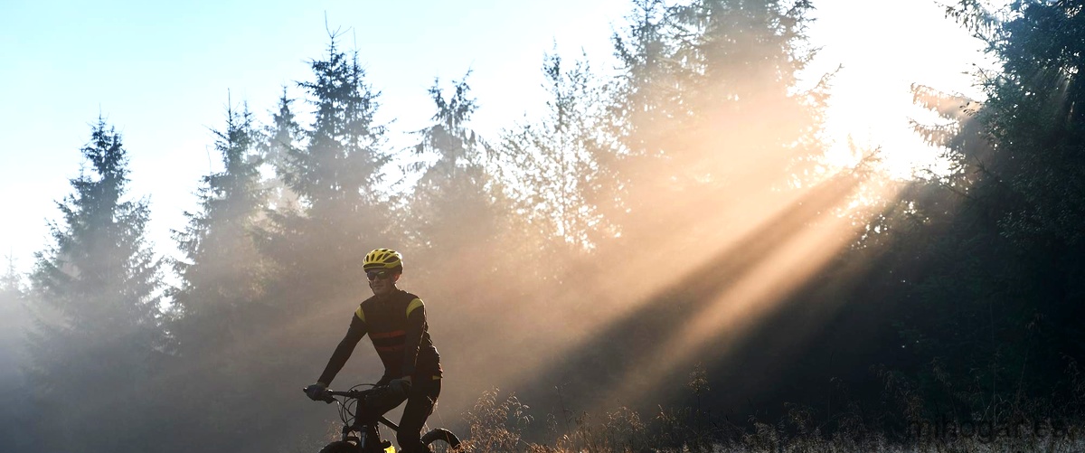 "Conquista la naturaleza con la nueva Megamo D: la bicicleta diseñada para tus aventuras al aire libre"