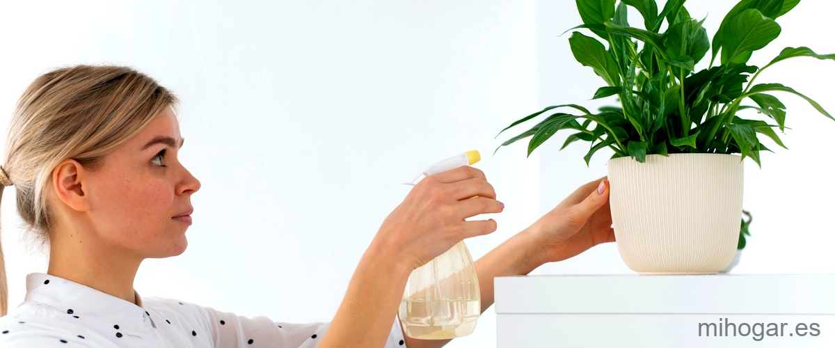 Maceta Grande Con Bandeja Extraíble – 30 Cm Diámetro, Plástico Resistente, Ideal Para Interior Y Exterior