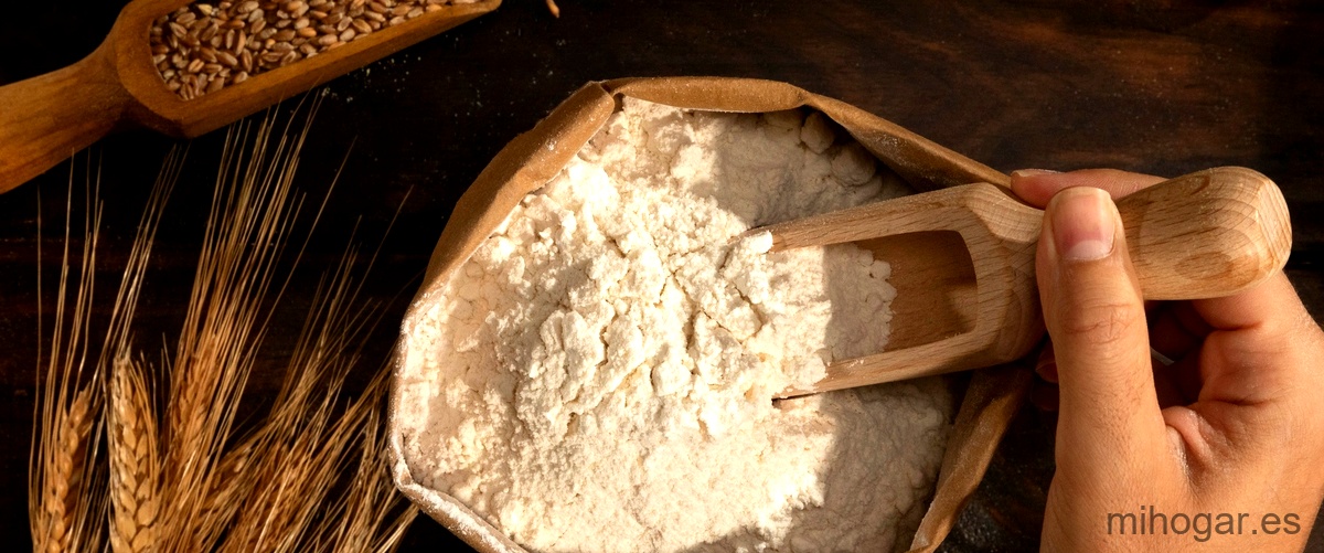 Harina de maíz para talos: la opción perfecta para tus antojos. - Mi Hogar
