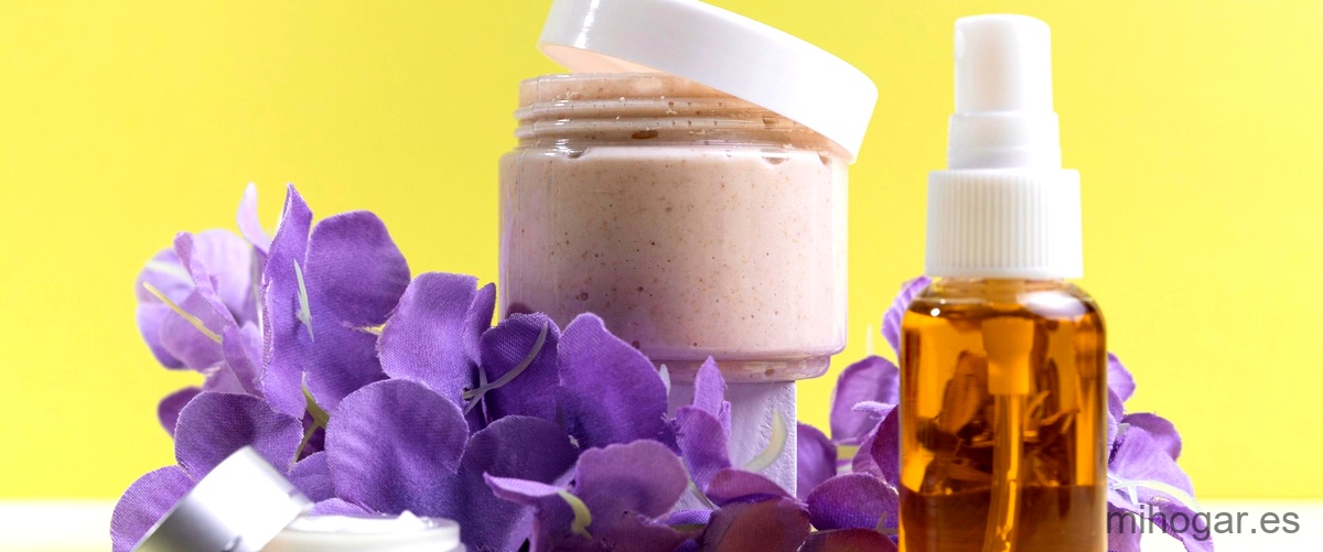 Opiniones sobre la Rowenta X-Pert 6.60: Eficiencia y rendimiento ...