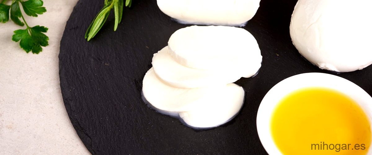 Descubre todas las formas de disfrutar el queso mozzarella en tus recetas.