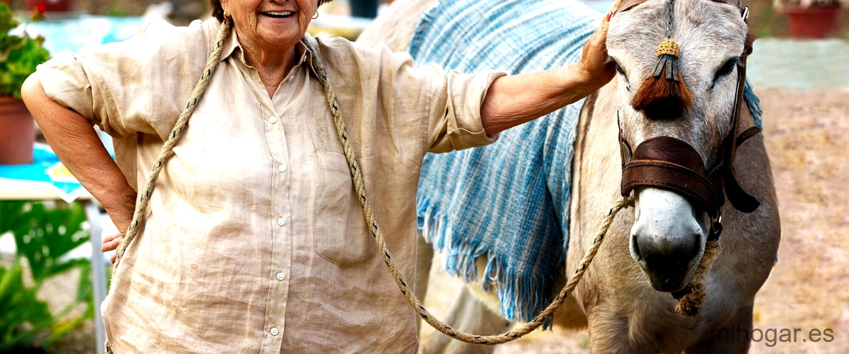 Mulás me: consejos para evitar caer en la trampa del fraude en línea