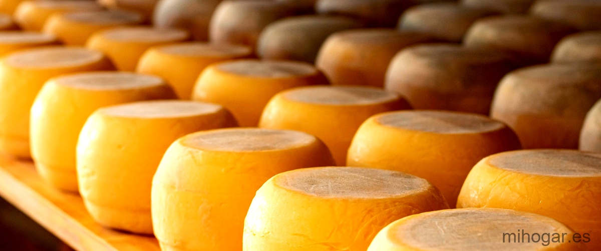 Queso lo: descubre las mejores combinaciones con queso Queso lo: descubre las mejores combinaciones con queso