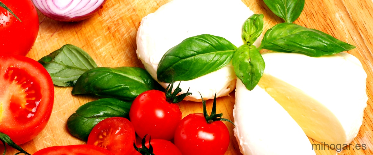 Queso mozzarel: el secreto de platillos irresistibles Queso mozzarel: el secreto de platillos irresistibles