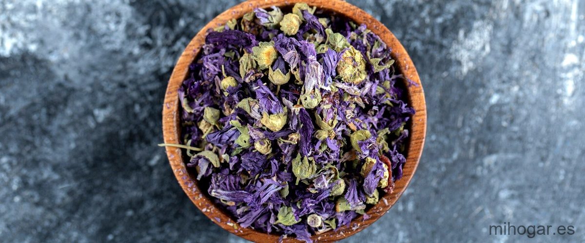 Secretos y encantos del patchouli: la esencia seductora que conquista corazones