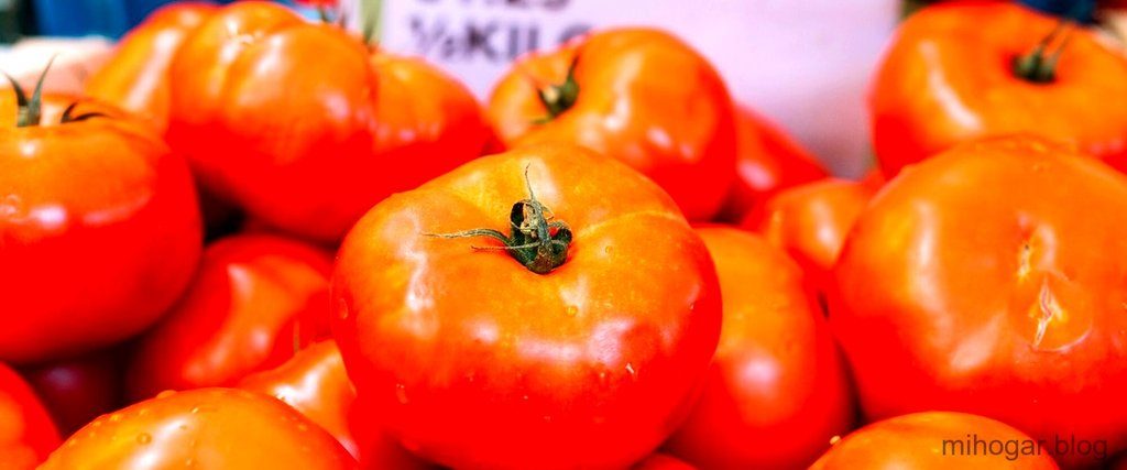 Ajvar Mercadona: Todo lo que debes saber sobre esta deliciosa salsa balcánica ajvar-receta-1