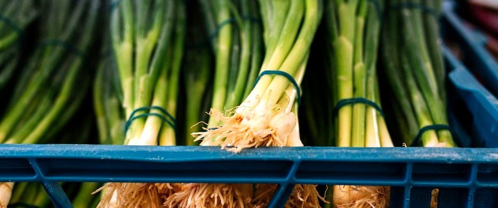 ¿Cuáles son las propiedades mágicas atribuidas al Lemon Grass? ¿Cuáles son las propiedades mágicas atribuidas al Lemon Grass?