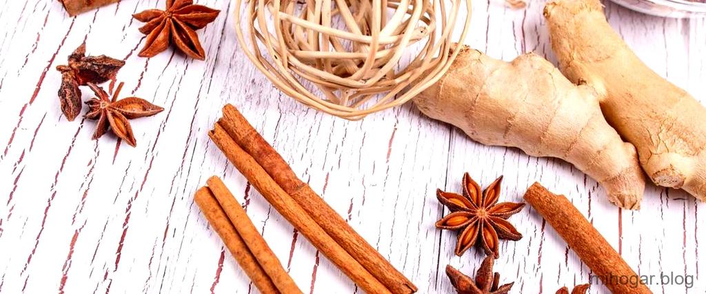 Ashwagandha Lidl: beneficios, interacciones y efectos secundarios cuales-son-los-beneficios-de-la-ashwagandha-1