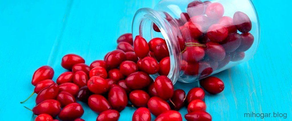  ¿Cuánto cuesta la acerola en Mercadona? 
