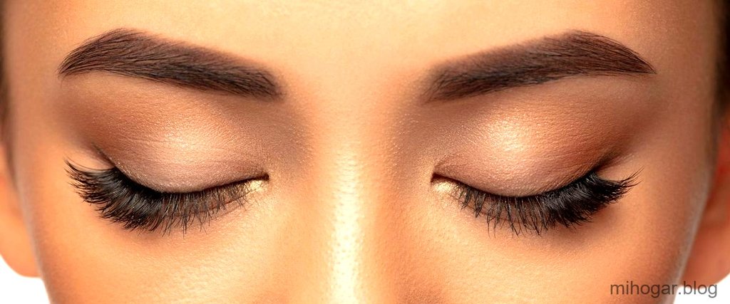 Cuanto Tarda En Crecer La Ceja Con Aceite De Ricino mihogar.blog