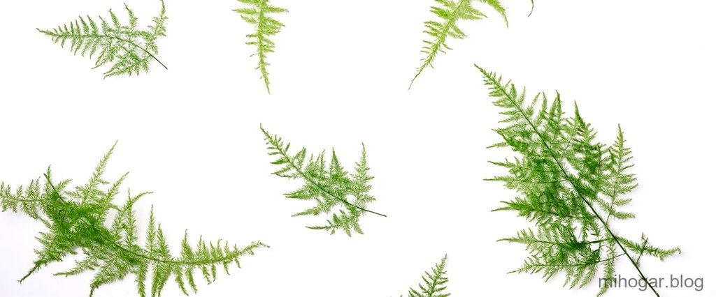 Herbero Mercadona: El auténtico sabor de la Sierra de Mariola donde-comprar-herbero-1