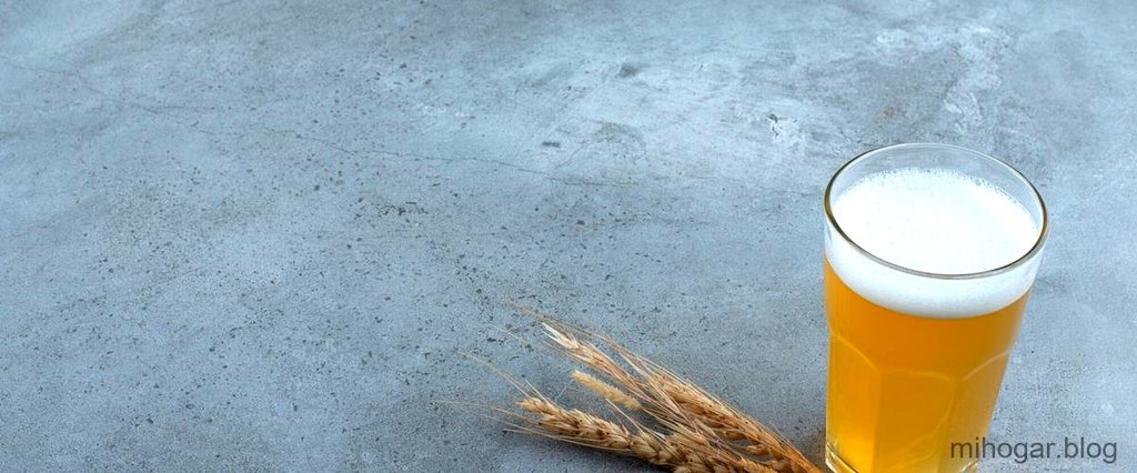 ¿Qué significa Voll-Damm?: Todo sobre la cerveza de grados española