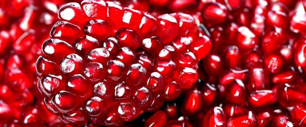 Acerola Mercadona: Beneficios, precio y consumo que-beneficios-tiene-la-acerola-1