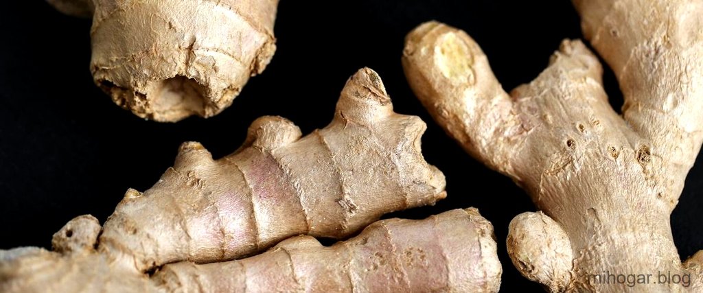 ¿Qué remedio casero es bueno para la hernia de hiato?