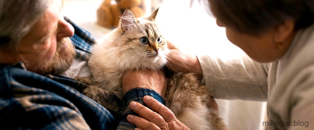 redes-de-proteccion-para-gatos-de-quita-y-pon-1